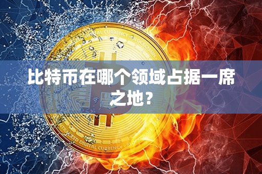 比特币在哪个领域占据一席之地？