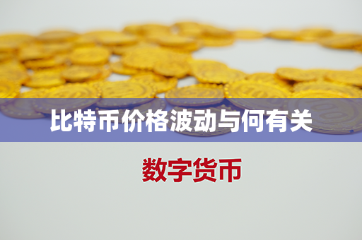 比特币价格波动与何有关