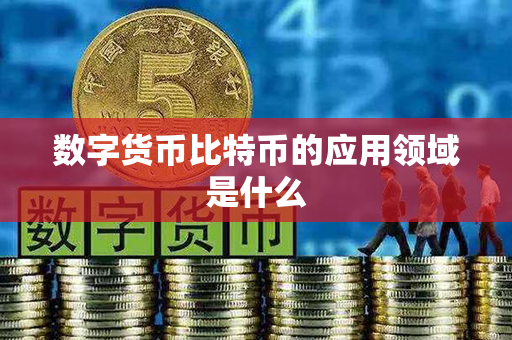 数字货币比特币的应用领域是什么