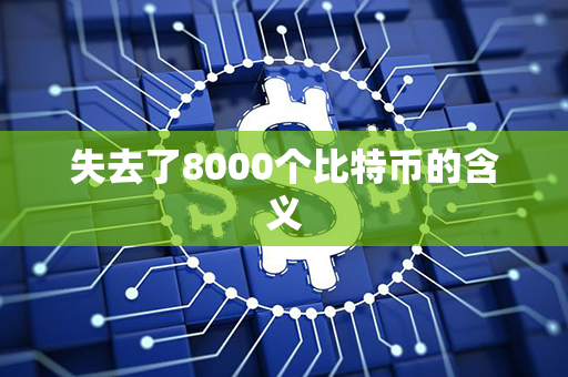 失去了8000个比特币的含义