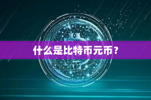 什么是比特币元币？