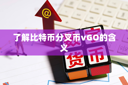 了解比特币分叉币vGO的含义